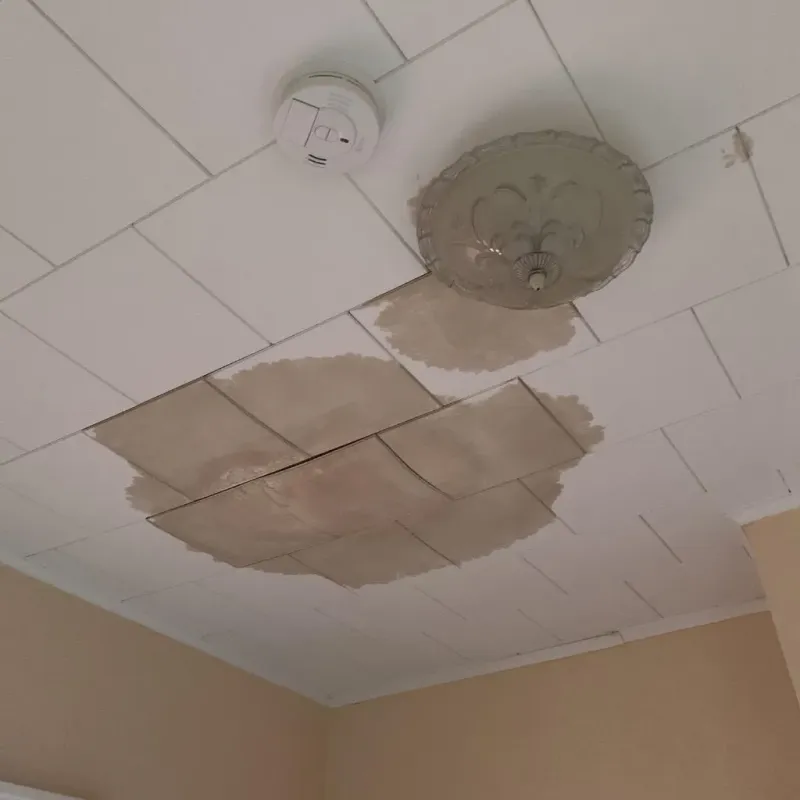 Ceiling Water Damage Repair in Weatherby Lake, MO