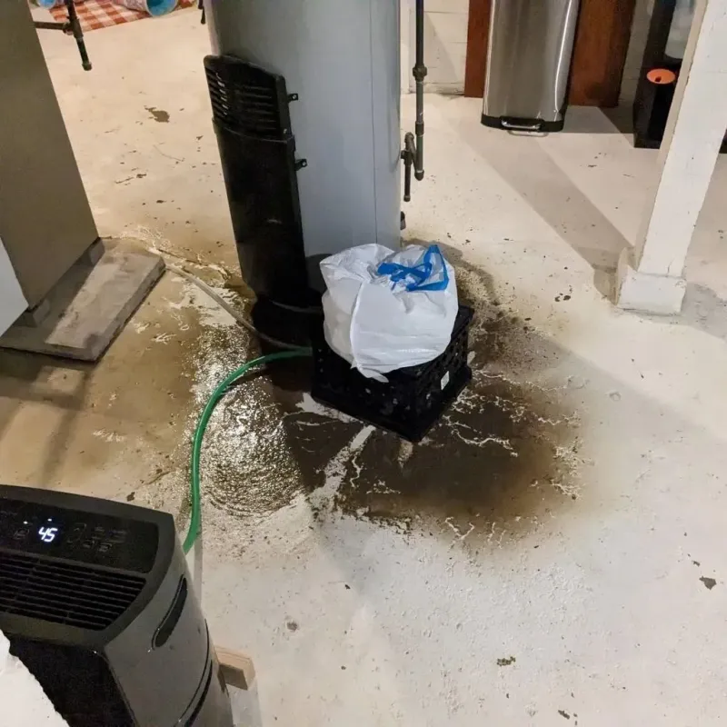 Sewage Backup Cleanup Service in Weatherby Lake, MO
